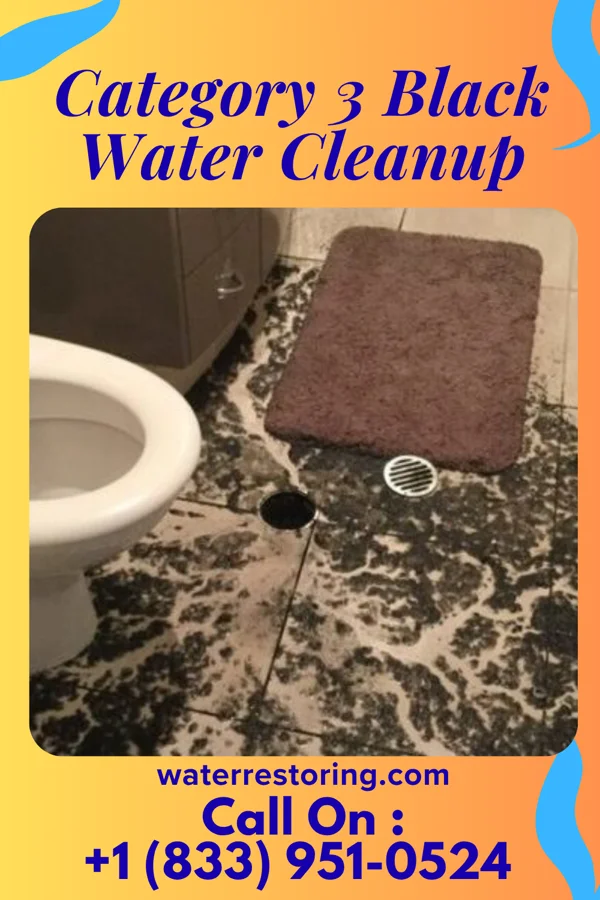 Category 3 Black Water Cleanup in Northgate, OH