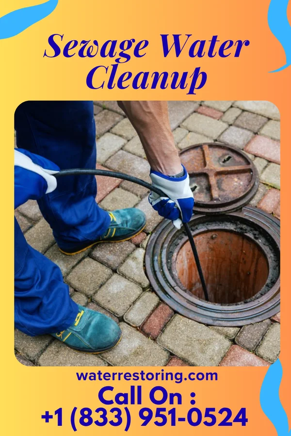 Sewage Water Cleanup in Northgate, OH