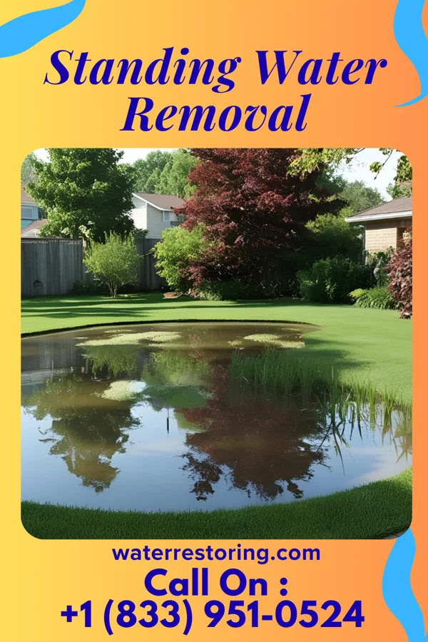Standing Water Removal in Northgate, OH